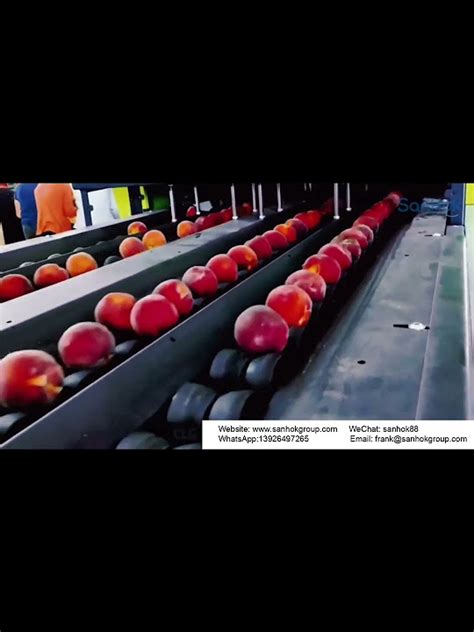 peach sorting machine.